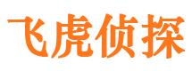 沙坪坝飞虎私家侦探公司